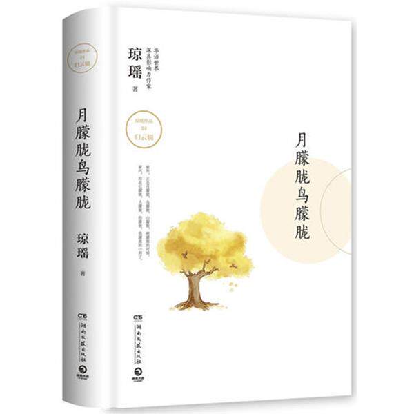 【正版现货】月朦胧鸟朦胧（琼瑶系列小说）