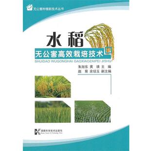 【正版书】 无公害种植新技术丛书-水稻无公害高效栽培技术 朱旭东,黄璜　主编,赵菊,余培玉　副主编 湖南科技出版社