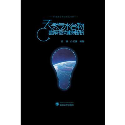 【正版】能源工程技术丛书 天然气水合物勘探开发关键技术研究 肖钢、白玉湖