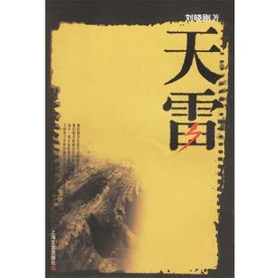 【正版书】 天雷 刘晓刚 著 上海文艺出版社