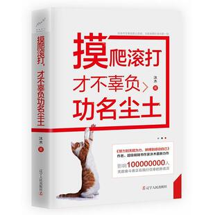 【正版书】 摸爬滚打，才不辜负功名尘土 沐木 辽宁人民出版社