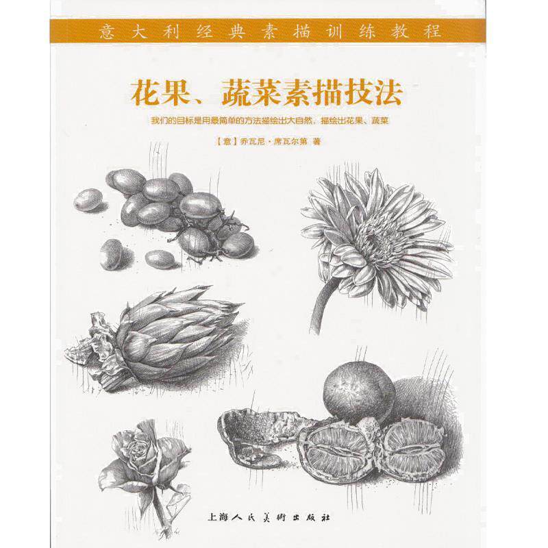 【正版书】 花果、蔬菜素描技法---意大利经典素描训练教程-W （意）席瓦尔第 著,吴晨荣 译 上海人民美术出版社