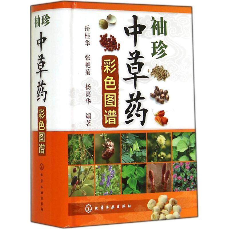 【正版书】 袖珍中草药彩色图谱 岳桂华,张艳菊,杨高华著 化学工业出版社
