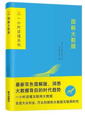 【正版书】 图解大数据 【日】大河原克行 南方出版社