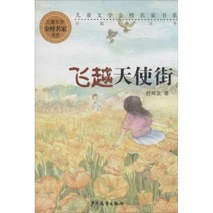 舒辉波 飞越天使街 正版