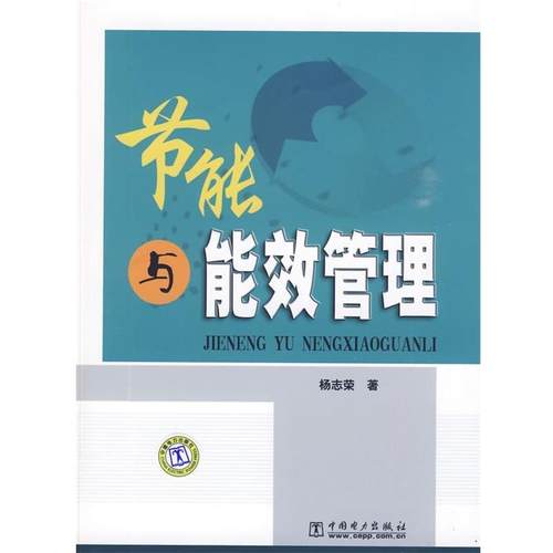 【正版】节能与能效管理 杨志荣