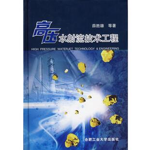 【正版书】 高压水射流技术工程 薛胜雄 等著 合肥工业大学出版社