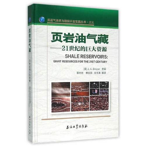 【正版】页岩油气藏 [美]布雷耶 ；董大