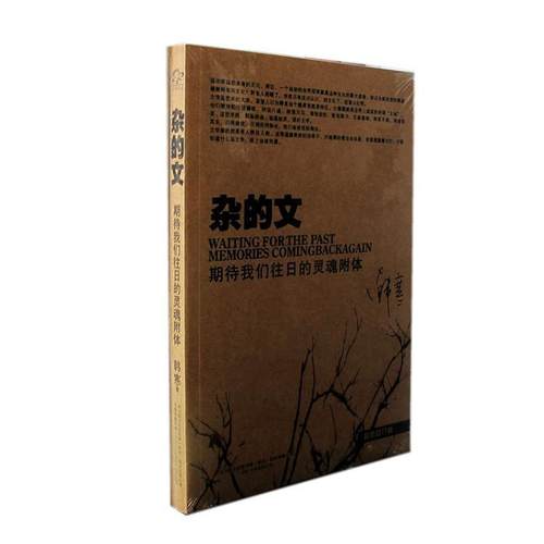 【正版】杂的文 期待我们往日的灵魂附体 韩寒