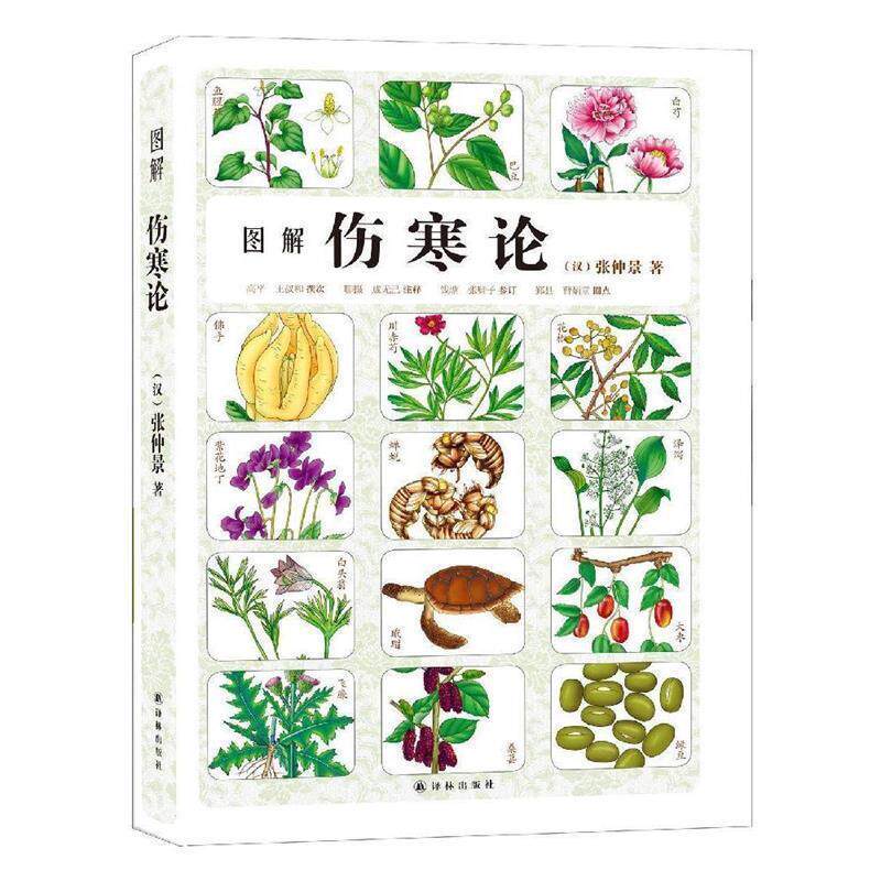 【正版书】 图解伤寒论 张仲景 译林出版社