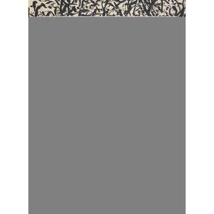 【正版书】 中国画当代艺术概论:中国画当代艺术三十年 西沐 著 中国书店出版社