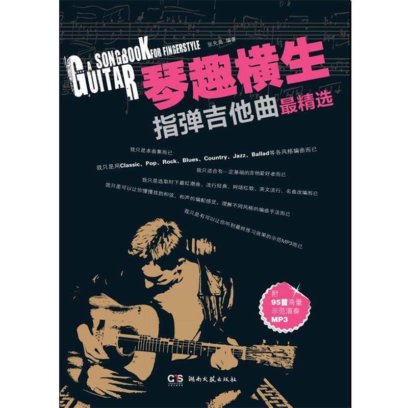 【正版】琴趣横生 指弹吉他曲集精选 张先海