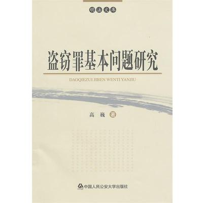 【正版】盗窃罪基本问题研究 高巍
