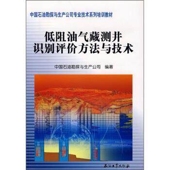 【正版书】 低阻油气藏测井识别评价方法与技术 中国石油勘探与生产公司 编 石油工业出版社
