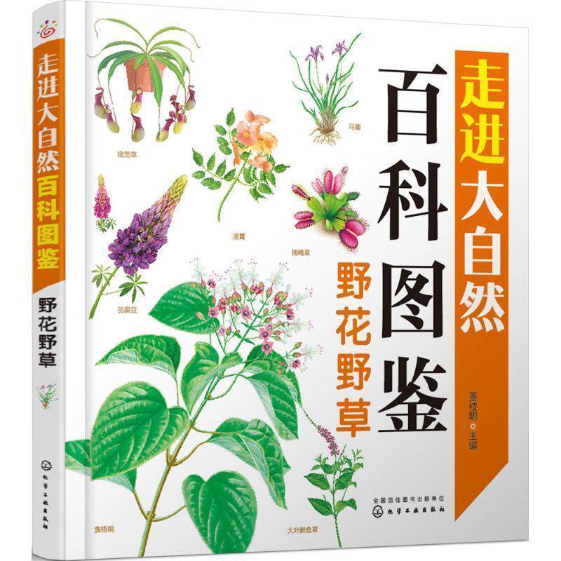 【正版书】 野花野草 董枝明 主编 化学工业出版社