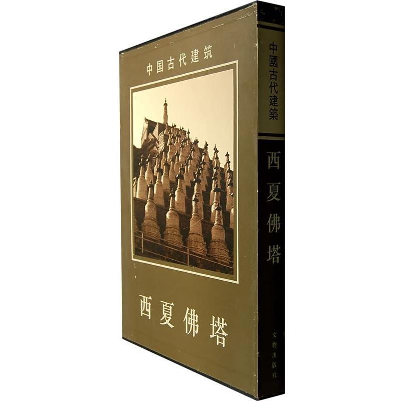 【正版】西夏佛塔 寧夏回族自治區文物管