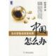 中国怎么办 书 时寒冰 著 社 机械工业出版 正版