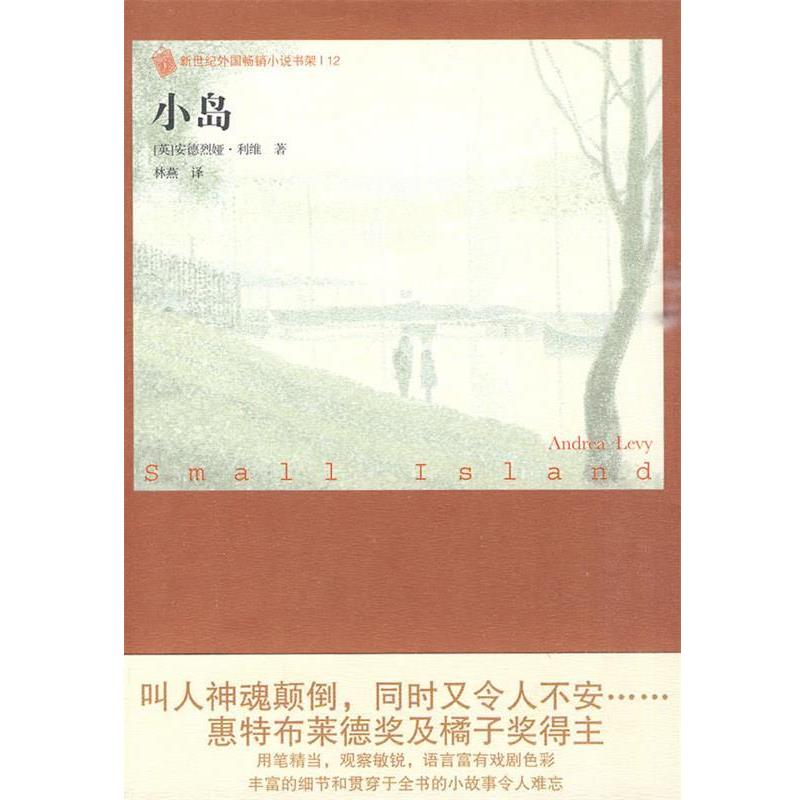 【正版】外国销畅小说书架 小岛 [英]利维；林燕