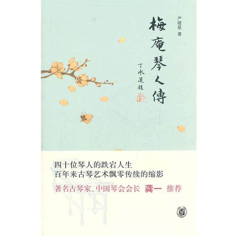 【正版书】 梅庵琴人传 严晓星 中华书局