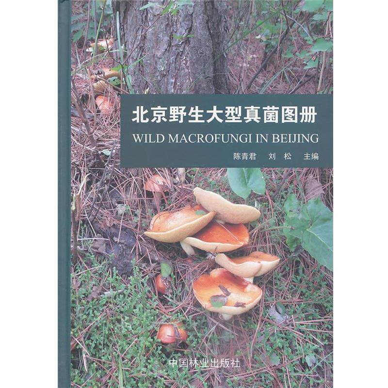 【正版书】 北京野生真菌图册 陈青君,刘松 等 编著 中国林业出版社