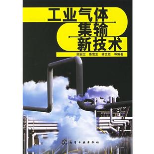 【正版书】 工业气体集输新技术 顾安忠 等编著 化学工业出版社