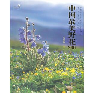 【正版书】 中国野花200 吴健梅　著 重庆大学出版社