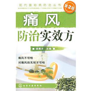 【正版书】 现代富裕病防治丛书--痛风防治实效方 梁勇才 主编 化学工业出版社