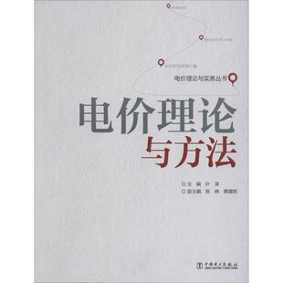 【正版书】 电价理论与实务丛书 电价理论与方法 叶泽　主编 中国电力出版社