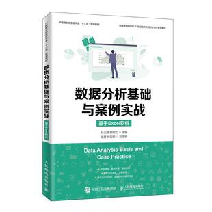 基于Excel软件 数据分析基础与案例实战 正版