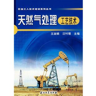 【正版】天然气处理工艺技术 王淑娟、汪忖理