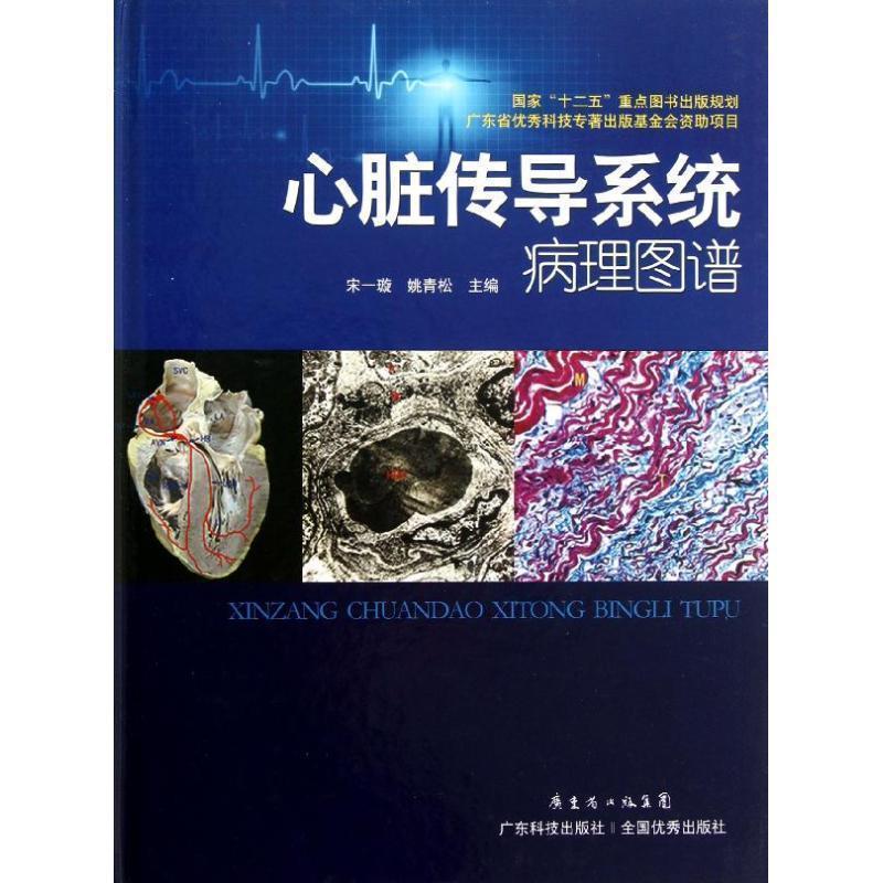 【正版书】 心脏传导系统病理图谱 宋一璇,姚青松 广东科技出版社