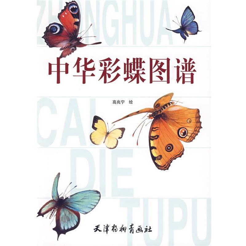 【正版】中华彩蝶图谱 高兆宁  绘