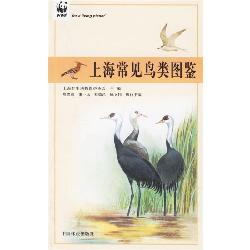 【正版书】 上海常见鸟类图鉴--上海市绿化林业科普丛书 上海市野生动物保护协会 主编 中国林业出版社