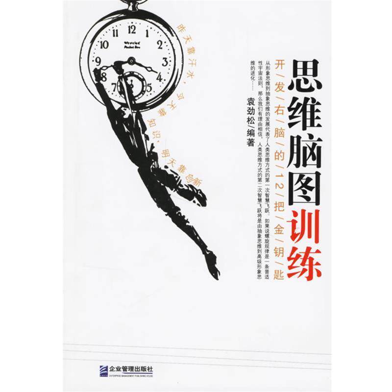 【正版书】 思维脑图训练 袁劲松 编著 企业管理出版社
