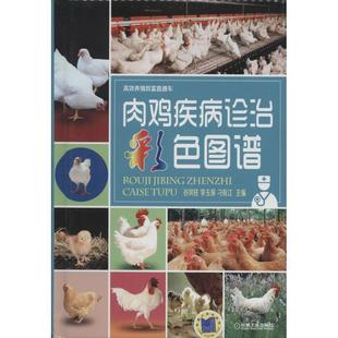 【正版】高效养殖致富直通车 肉鸡疾病诊治彩色图谱 谷风柱、李玉保、刁有