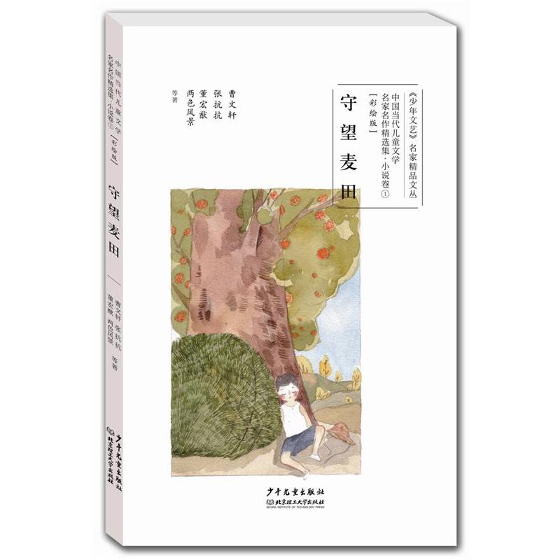【正版】中国当代儿童文学名家名作精选集（彩绘版）小说卷1 守望麦田 曹文轩、张抗抗、董宏