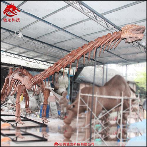 仿真梁龙骨架化石模型大型玻璃钢仿真恐龙制作博物馆科普恐龙