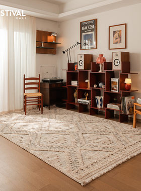 土耳其进口地毯客厅极简轻奢别墅地毯高级感侘寂卧室床边毯耐脏