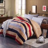 Warm beds Flannel Duvet Winter Blanket Comforter Quilt 被芯