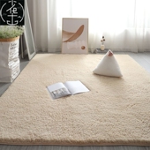 Mats Soft Rugs Carpet Living Plush For Bedroom Carpets Room