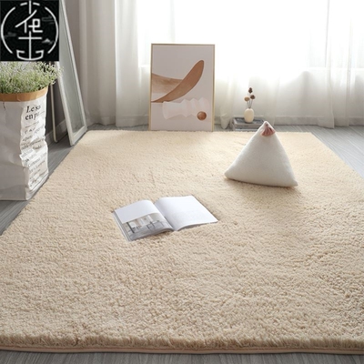 Carpet Rugs Plush Soft Carpets For Living Room Bedroom Mats