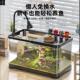 transparent Fish fish aquarium plastic tank desktop