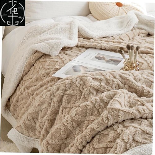 被子毛毯 velvet thick warm winter quilt duvet 2sides blanket