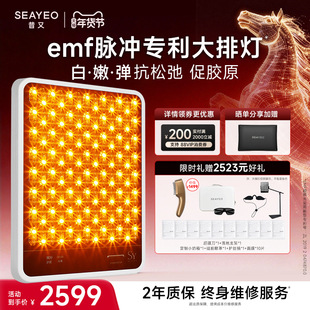 情人节礼物SEAYEO昔又ProMax大排灯美容仪光子嫩肤美白祛痘仪经典