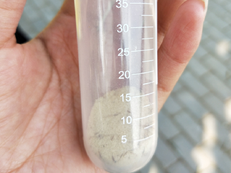 米蛾卵 活体 灭活 活 大米 害虫 天敌食物 科研 实验专用