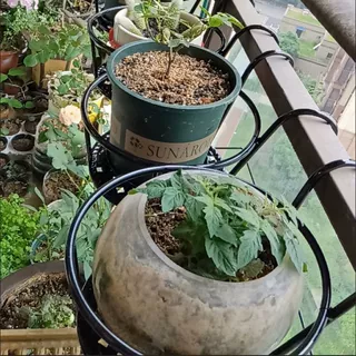 花架子阳台悬挂式花架铁艺栏杆护栏窗台绿萝吊兰花盆架挂架置物架