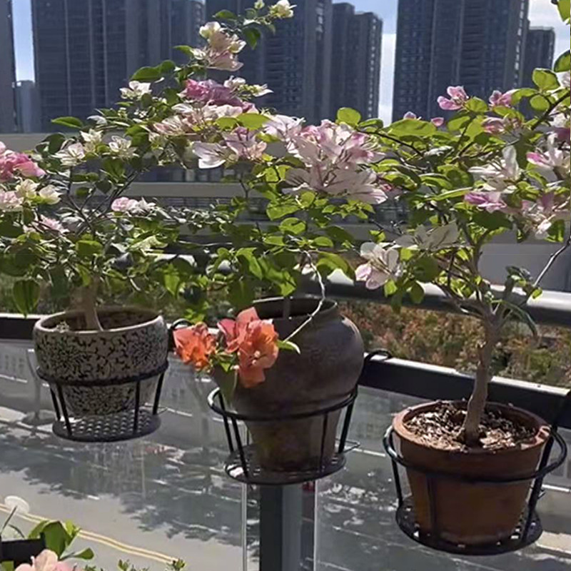 铁艺护栏花盆挂架多肉栏杆花架子阳台花架悬挂式室内窗台置物架,收纳整理,阳台置物架,淘宝优惠券,粉丝福利购,淘宝优惠卷