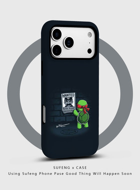 宿风适用苹果iPhone16promax手机壳17 14磁吸13 12磨砂15 Pro硬Plus新款情侣高级保护套男女创意画报绿色乌龟