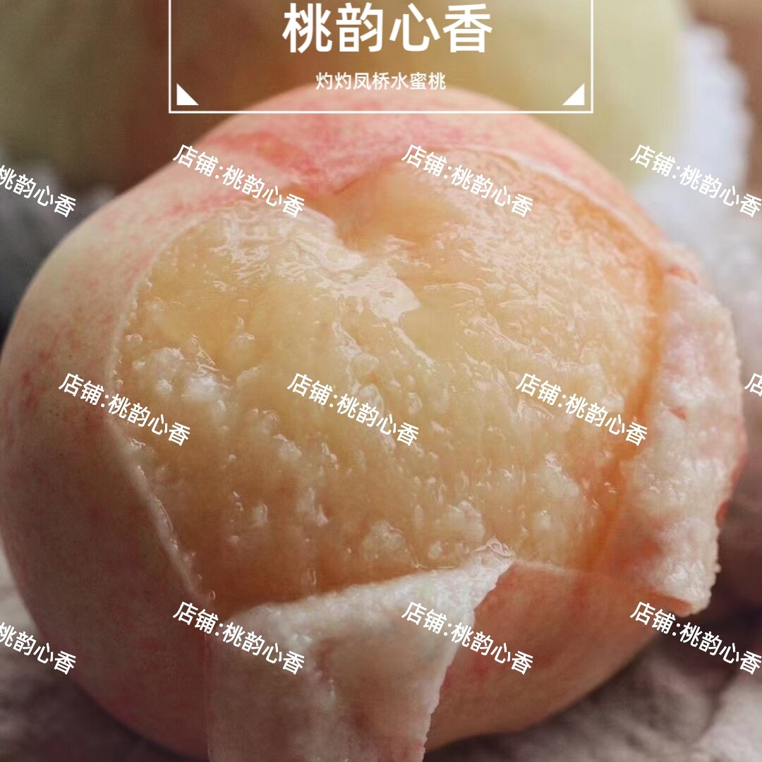 正宗凤桥水蜜桃湖景水蜜桃当季现摘新鲜水果现发