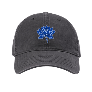 许巍同款蓝莲花摇滚音乐纪念棒球帽男女简约鸭舌帽遮阳帽户外防晒